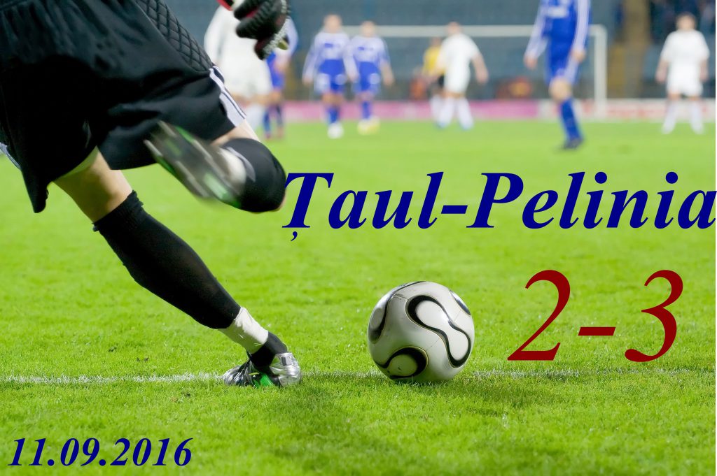 soccer or football goalkeeper kick the ball