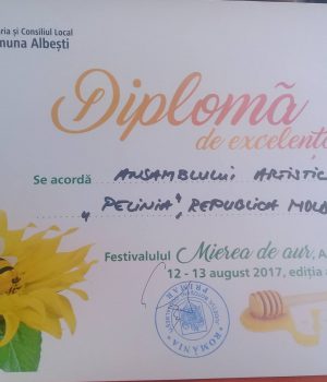 20883636_1519826951415430_1999527541_o