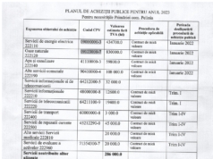 Planul de achiziții publice pentru anul 2023