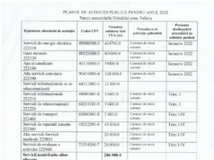 Planul de Achiziții Publice pentru anul 2023
