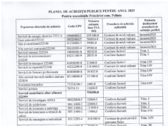 Planul de achiziții publice pentru anul 2025